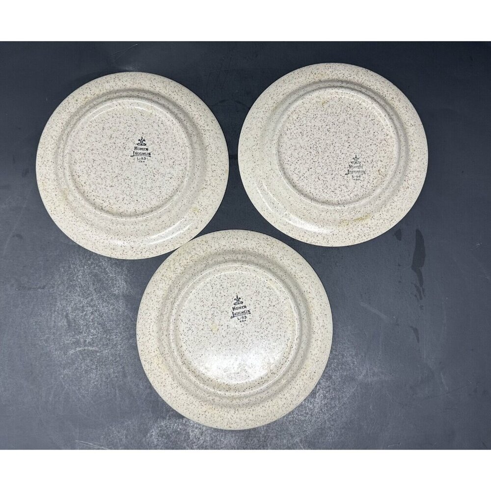 6 HOMER LAUGHLIN COUNTRY WHEAT 7" Plates Table Fair Homestead Harlequin Speckled - Picture 8 of 13